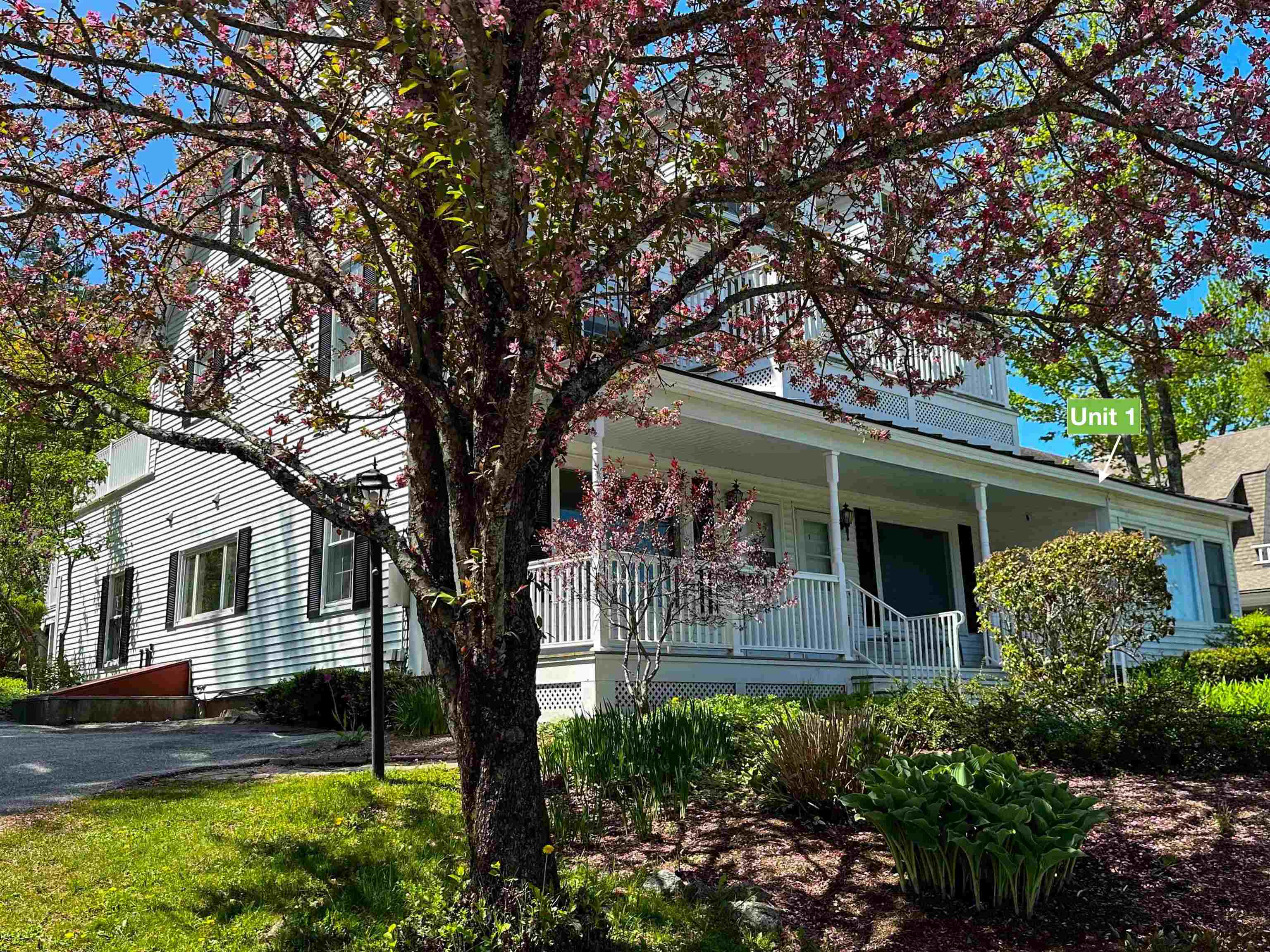 14 Lake Avenue, Unit 1 Sunapee, NH 03782 - Photo 2 of 27