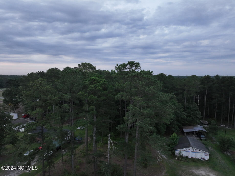 0 Meadow Road Kenly, NC 27542 - Photo 33 of 56 33