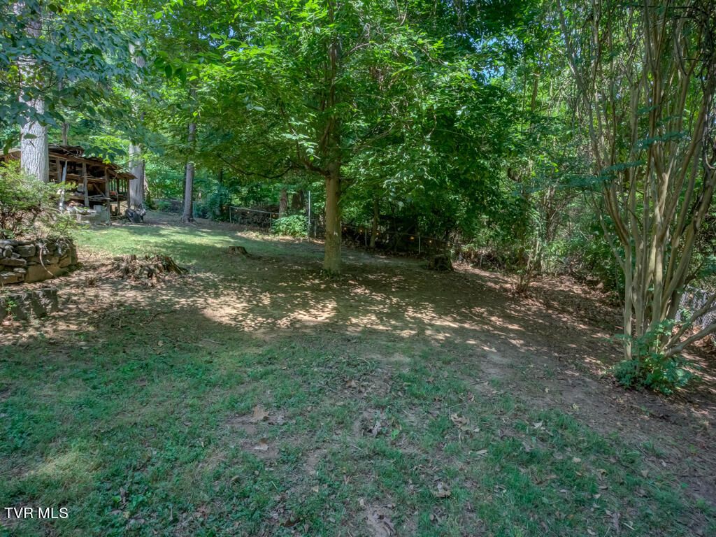 412 Rovan Drive Johnson City, TN 37601 - Photo 12 of 63 412 Rovan Dr MLS012