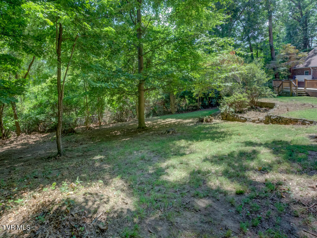 412 Rovan Drive Johnson City, TN 37601 - Photo 10 of 63 412 Rovan Dr MLS010