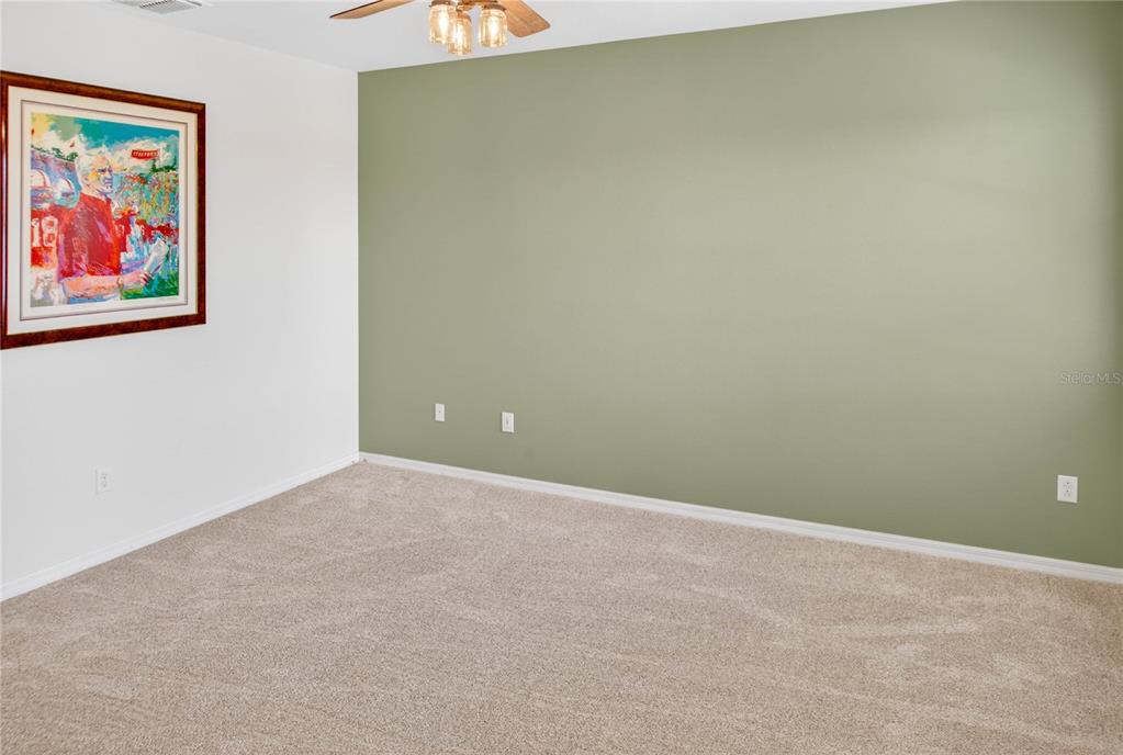 13415 White Sapphire Road Riverview, FL 33579 - Photo 32 of 96