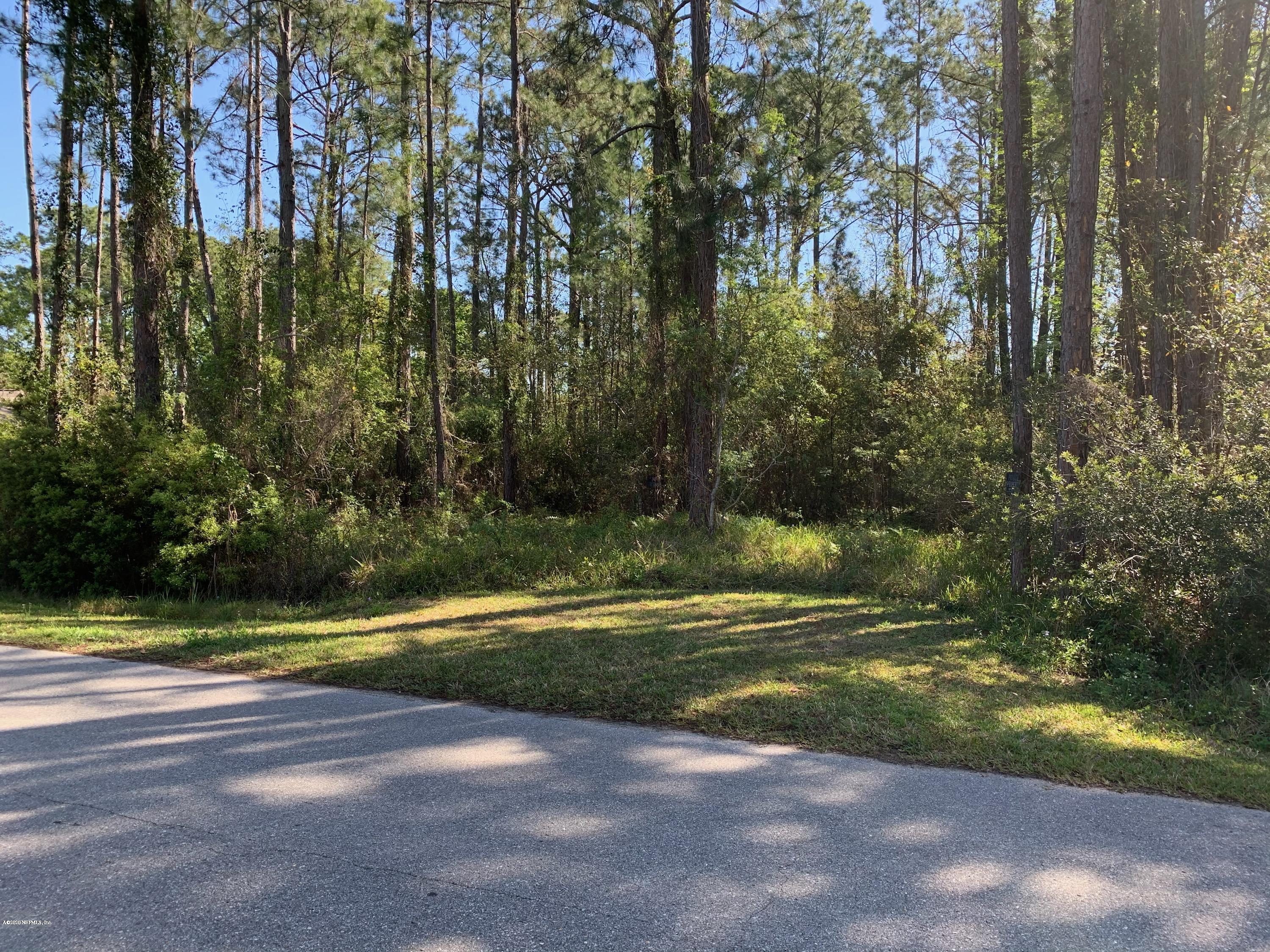 4727 Pinegate Road Fleming Island, FL 32003 - Photo 1 of 2 Witte Lot
