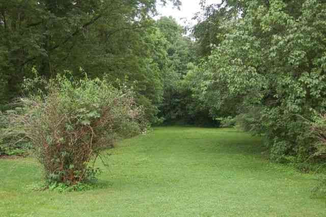 90 Maple Road Voorheesville, NY 12186 - Photo 11 of 12 Photo 11