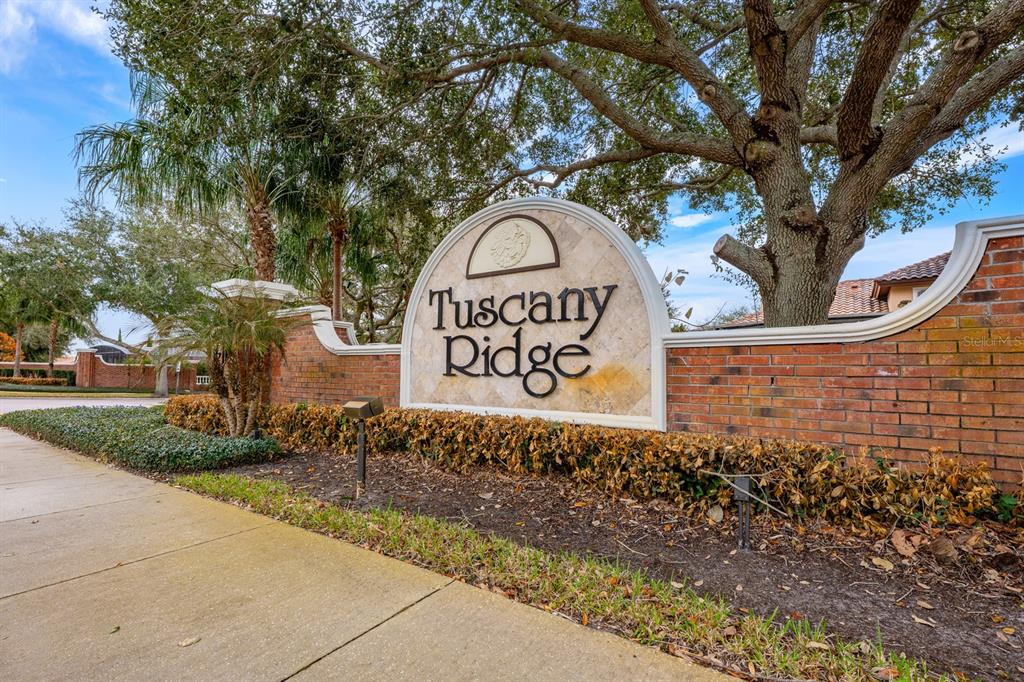 9155 Panzani Place Windermere, FL 34786 - Photo 50 of 50
