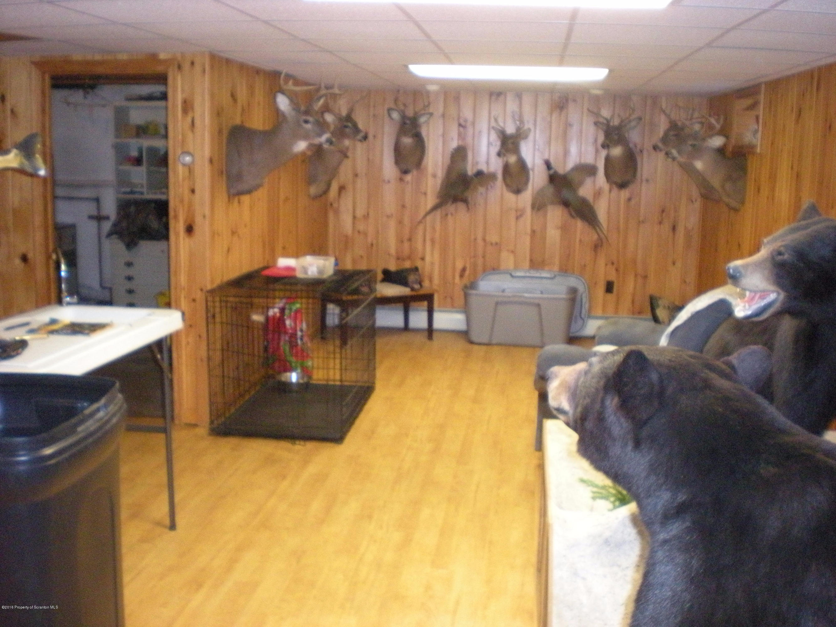 921 Ralph Lane Moosic, PA 18507 - Photo 29 of 32 Gallery Image 29