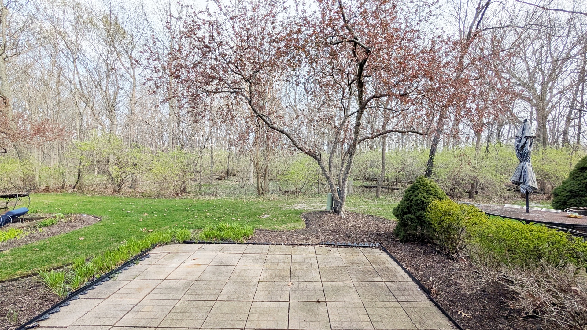 4037 Oak Tree Lane Plainfield, IL 60586 - Photo 12 of 12