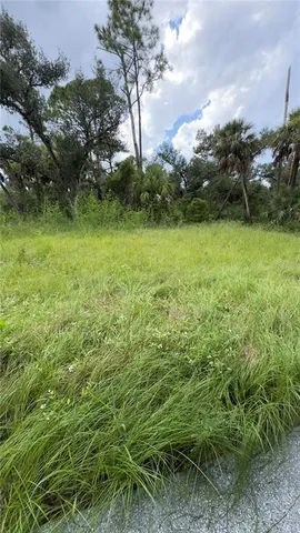 a view of outdoor space and yard