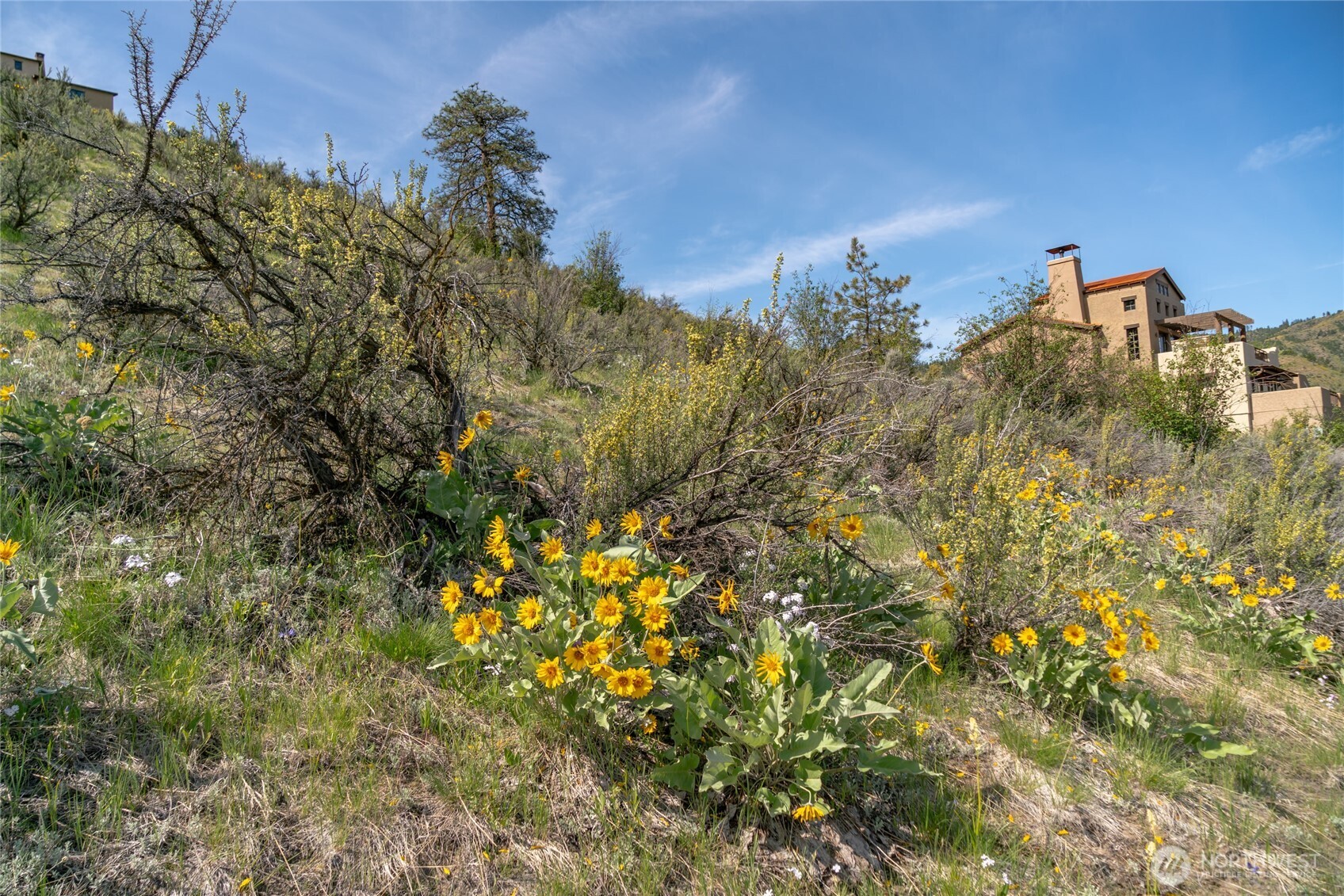 215 Bandera Way Chelan, WA 98816 - Photo 29 of 30