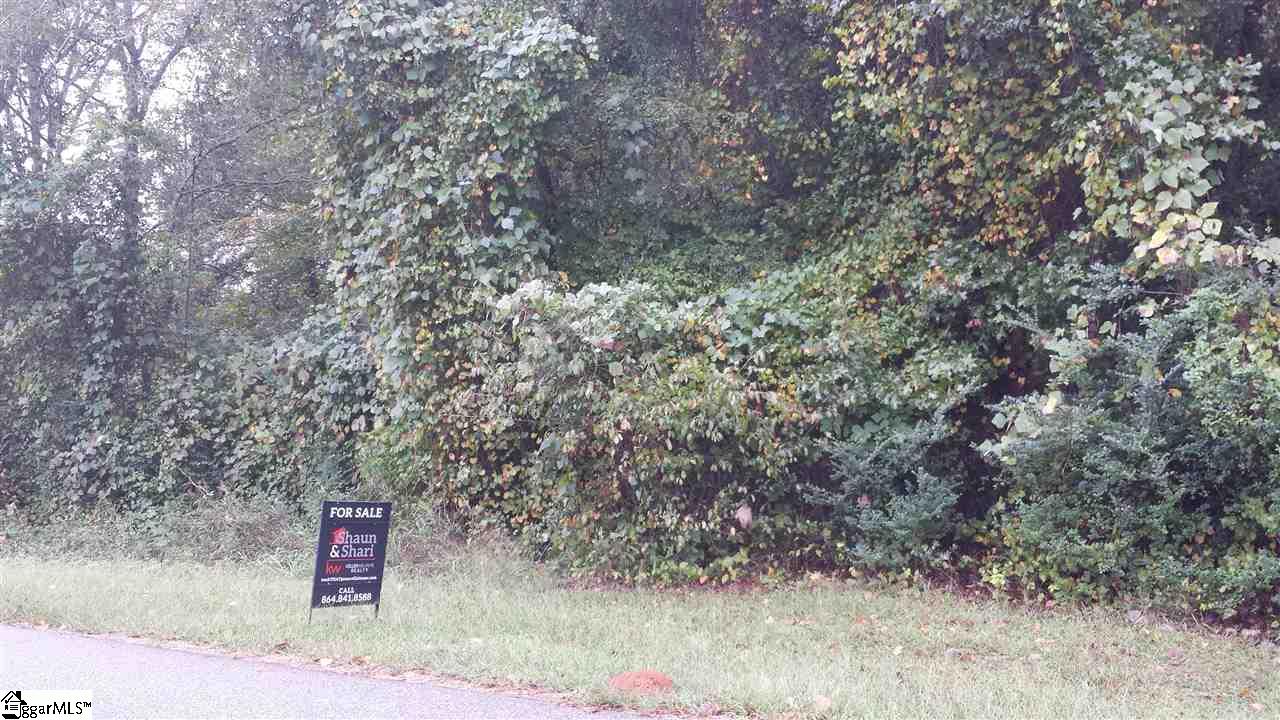 Rabon Road Laurens, SC 29360 - Photo 3 of 4