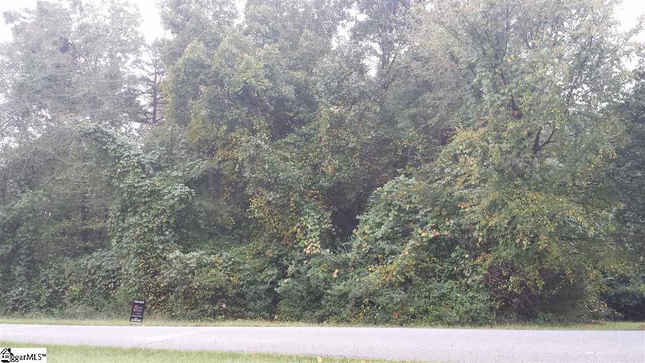 Rabon Road Laurens, SC 29360 - Photo 4 of 4