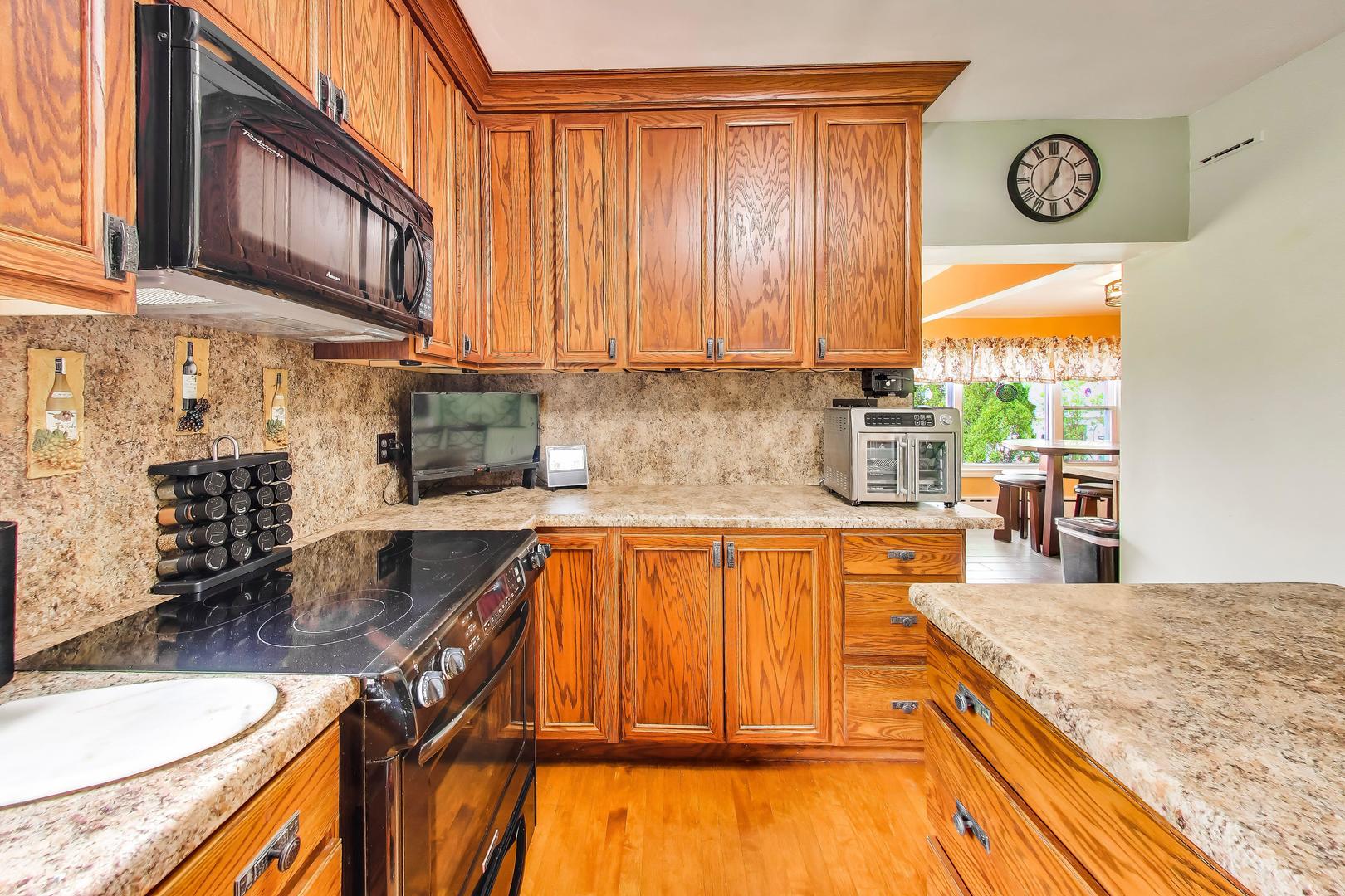 6732 West Rascher Avenue Chicago, IL 60656 - Photo 9 of 52