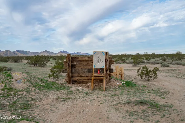 a front view of a house with a yard and a large tree