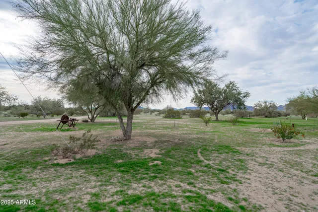 a view of a big house with a big yard and potted plants