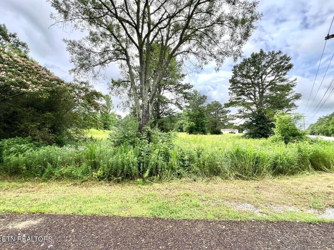 0 Fairview Road Athens, TN 37303 - Photo 8 of 18