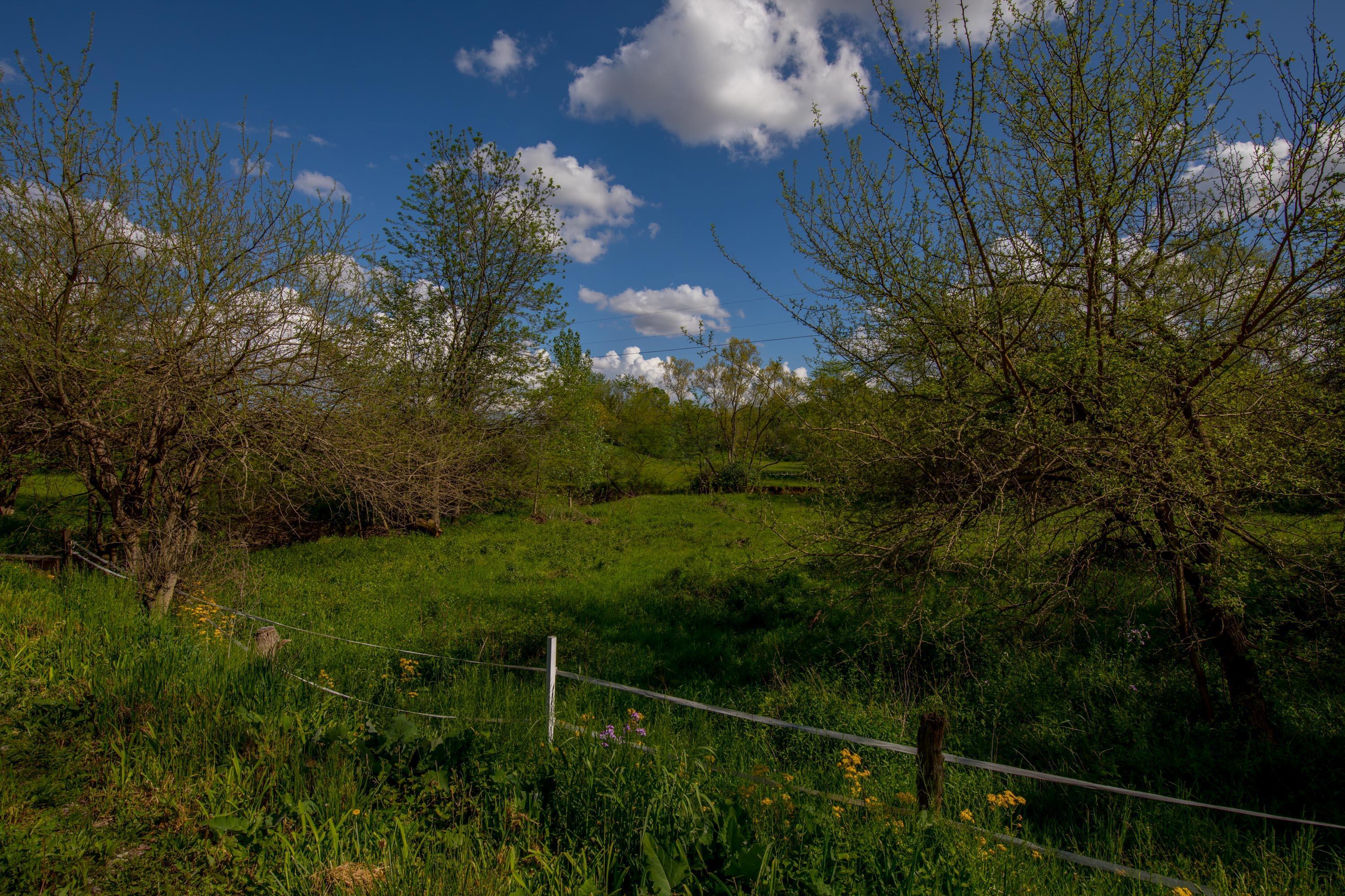 14290 Kenney Road Marengo, OH 43334 - Photo 79 of 91