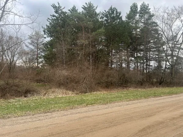 $29,000 | West Ranger Road, Perrinton, MI 48871