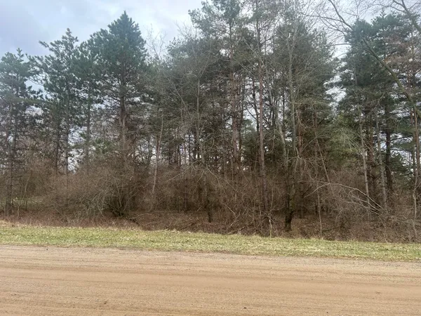 $29,000 | West Ranger Road, Perrinton, MI 48871