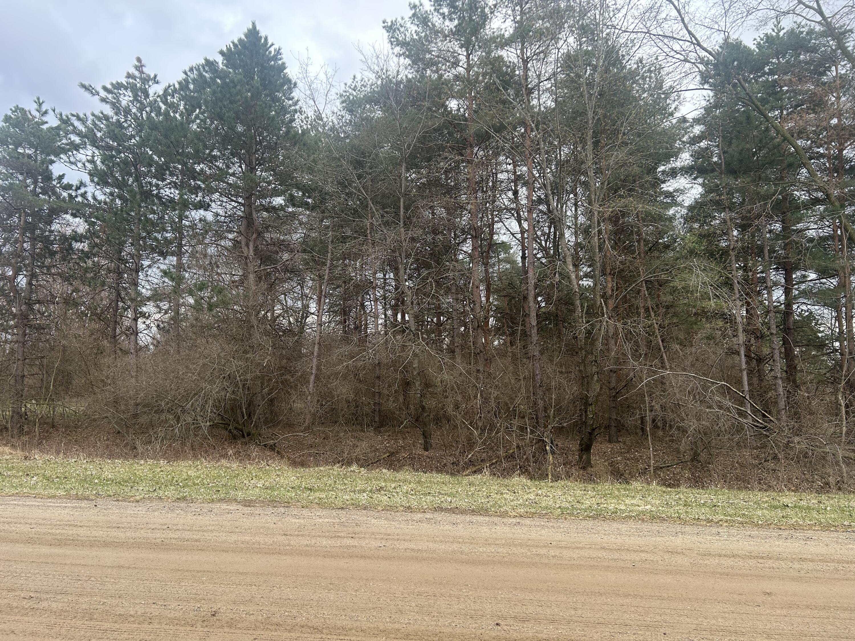 West Ranger Road Perrinton, MI 48871 - Photo 2 of 10 IMG_8448