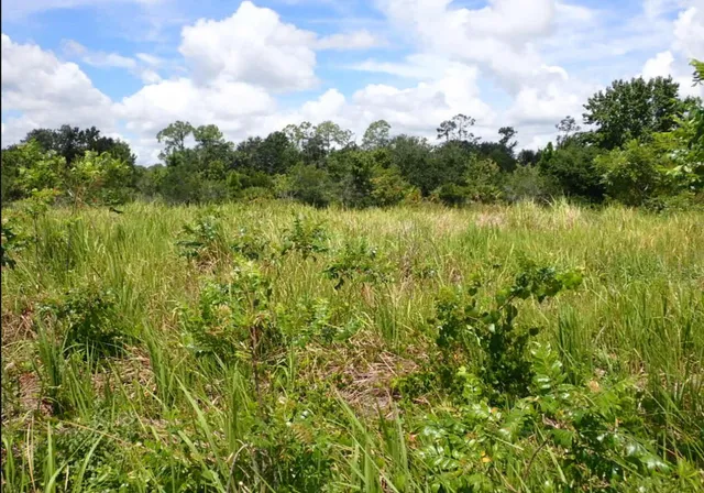 a view of a lake and green field