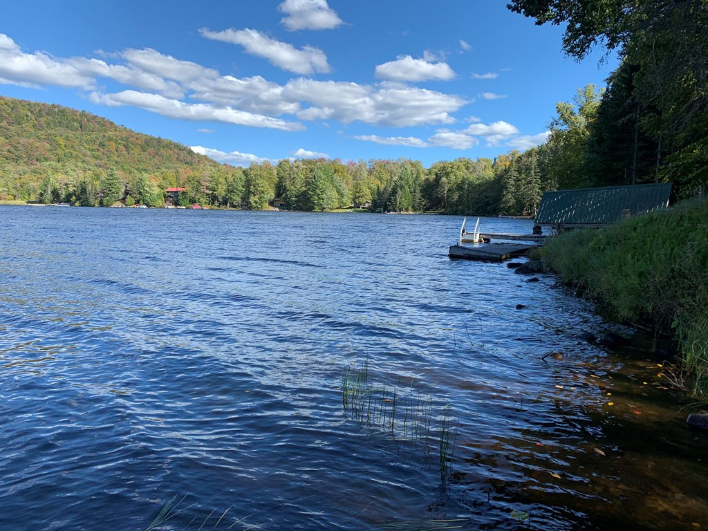 1244 Goodnow Flow Road Newcomb, NY 12852 - Photo 29 of 37 Gallery Image 29