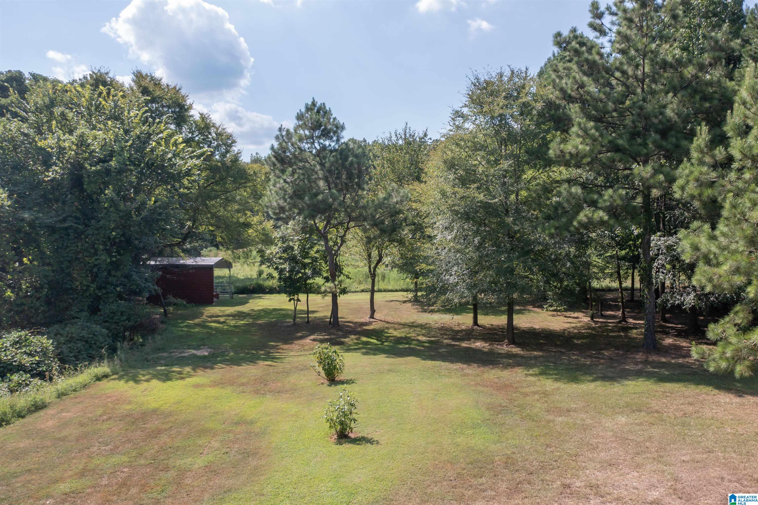 1961 Dripping Rock Road Piedmont, AL 36272 - Photo 38 of 47