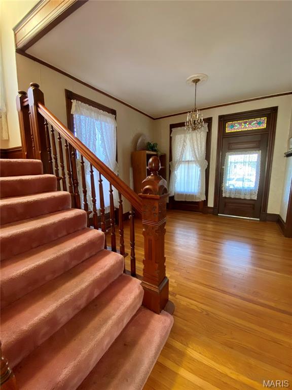 7038 Pernod Avenue St. Louis, MO 63139 - Photo 35 of 59