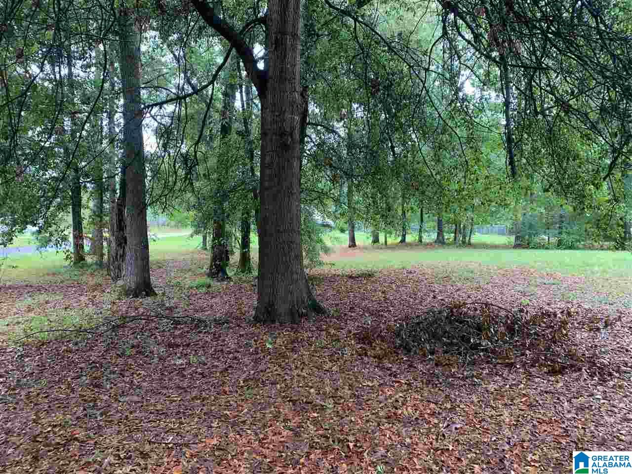 107 Tyler Circle Vincent, AL 35178 - Photo 24 of 26