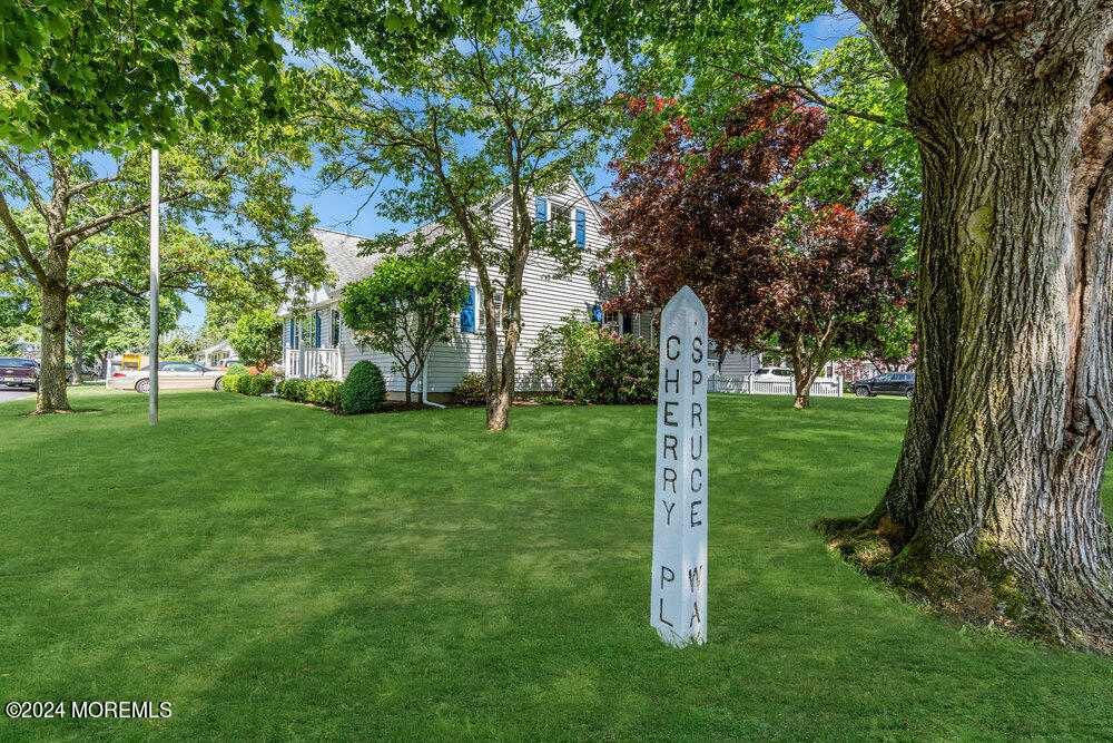 4 Cherry Place Manasquan, NJ 08736 - Photo 41 of 46 a view of a park with large trees