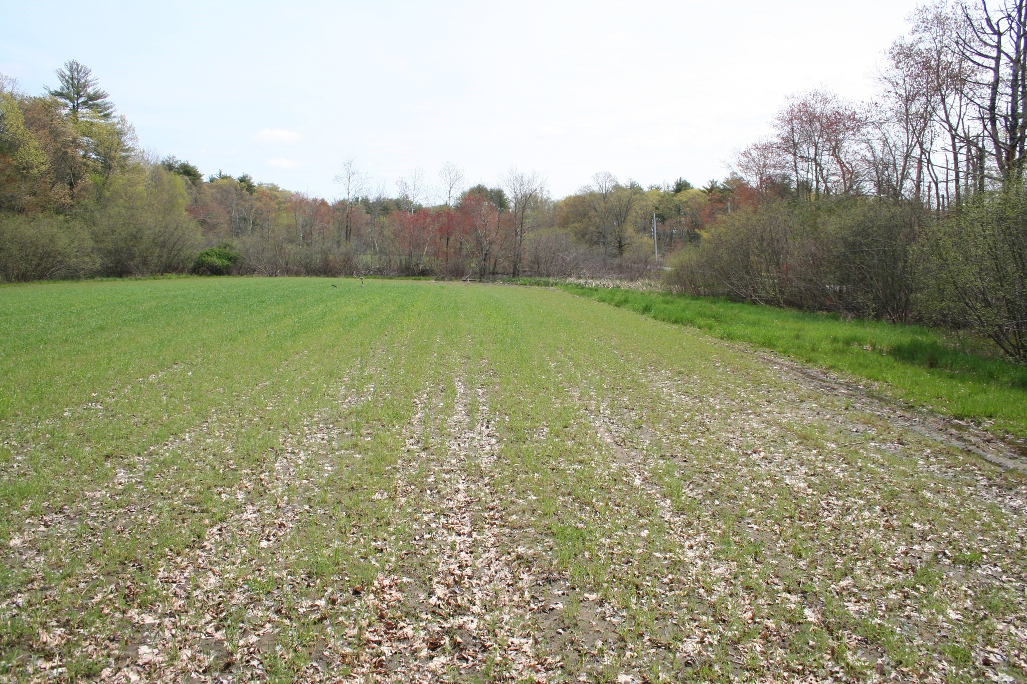 900 Concord Road Sudbury, MA 01776 - Photo 8 of 9 Gallery Image 8
