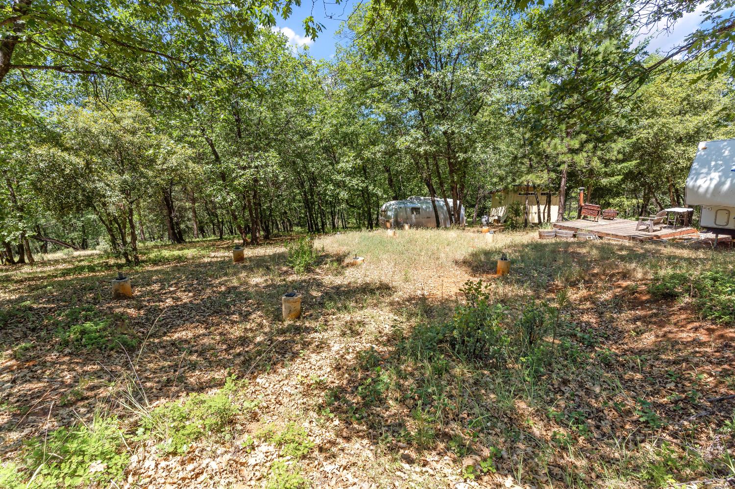 2640 Trail Gulch Road Placerville, CA 95667 - Photo 28 of 37 a view of dirt yard with a trees