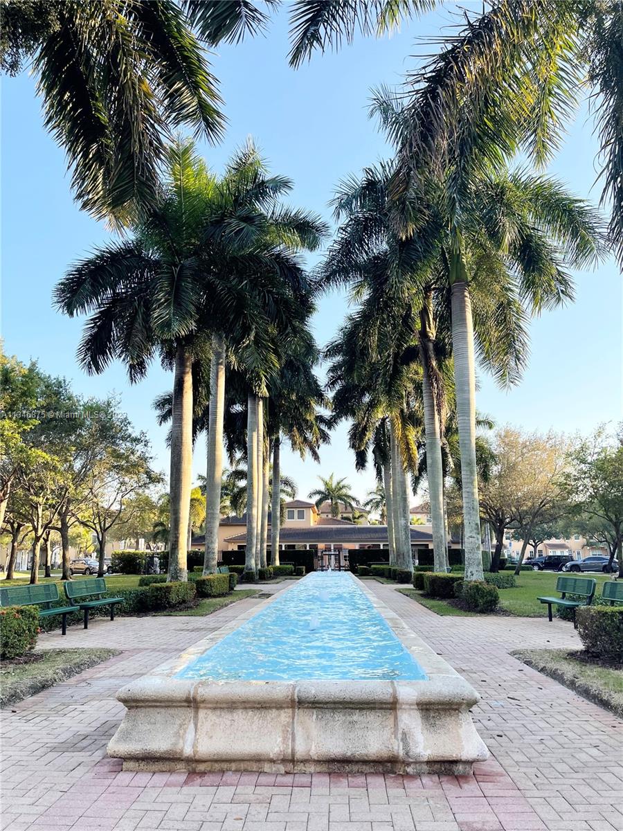 Cobblestone Pembroke Pines, FL 33027 - Photo 11 of 17 a view of street with palm trees