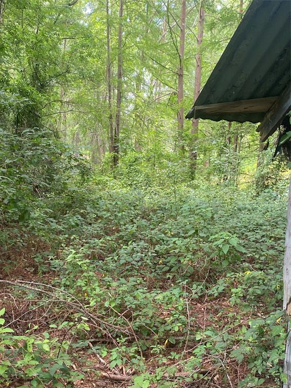 140 Bellview Road Ringgold, LA 71068 - Photo 32 of 37 Gallery Image 32