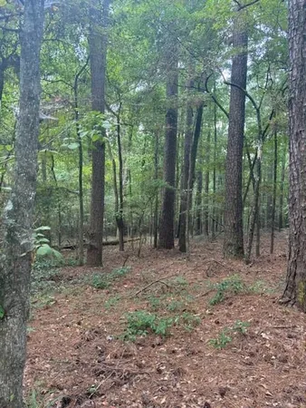 $575,000 | 0 Bodcau Station Road, Haughton, LA 71037