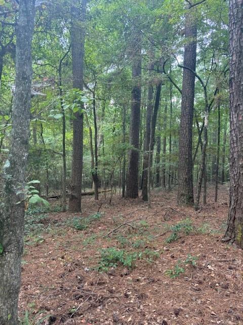 0 Bodcau Station Road Haughton, LA 71037 - Photo 8 of 8 a view of a forest that has large trees