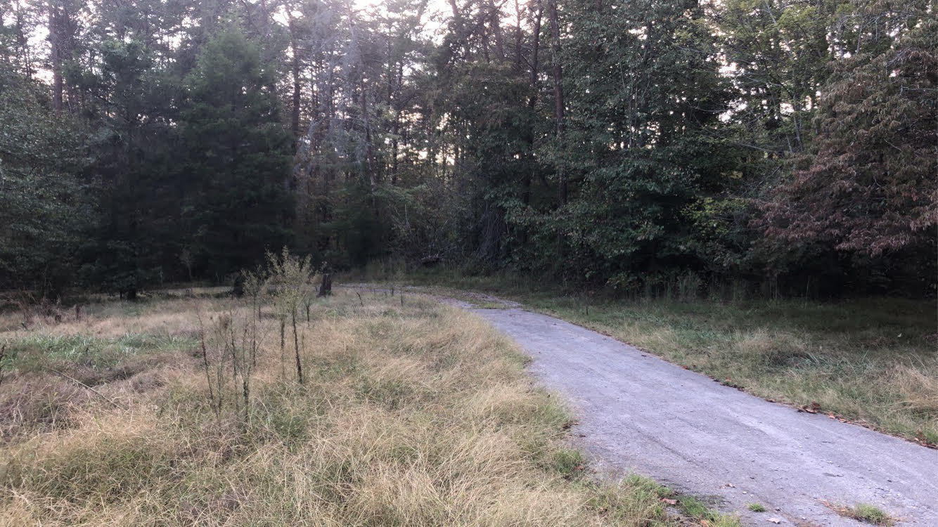 2185 Ballplay Road Madisonville, TN 37354 - Photo 5 of 10 2185 Ballplay (3)
