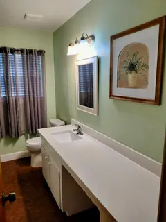 a bathroom with a sink a toilet and mirror