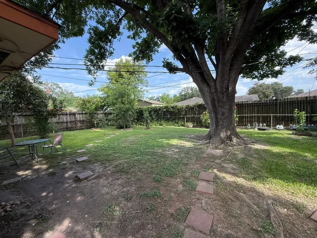 a view of a yard with a tree