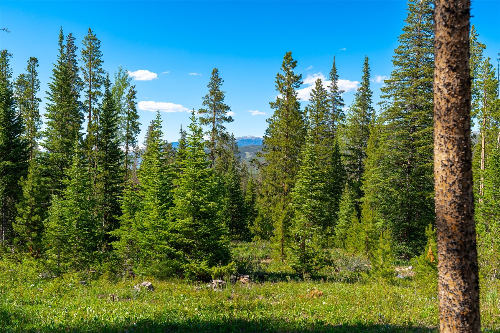 123 Westerman Road Breckenridge, CO 80424 - Photo 41 of 45