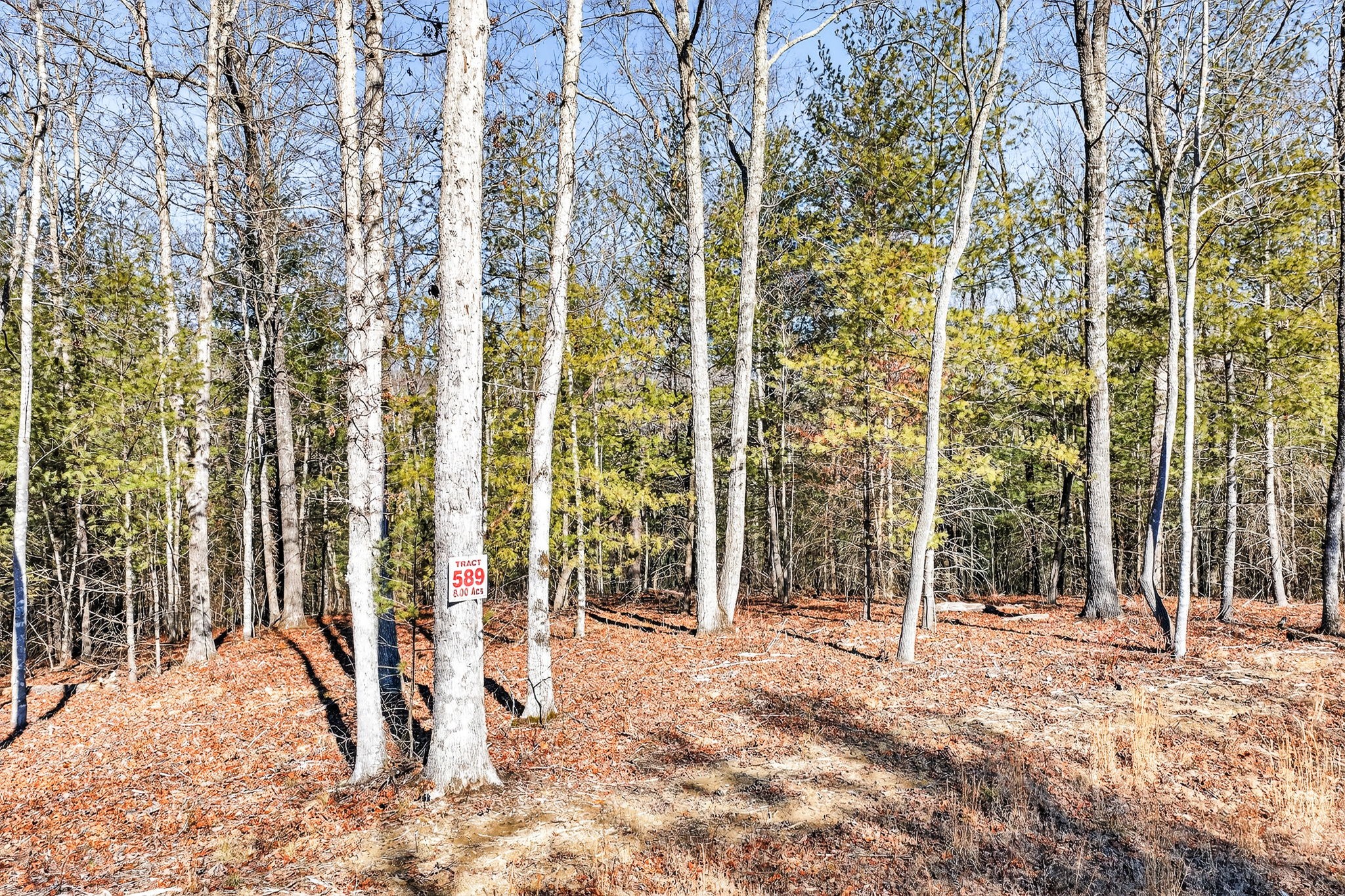 0 Proctor Pl Road Jamestown, TN 38556 - Photo 7 of 16 Gallery Image 7