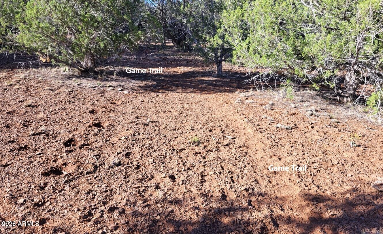 918 Wolf Road, Unit 918 Williams, AZ 86046 - Photo 9 of 18 e9d54cb5-3c73-4809-b626-54e4fed99c9c