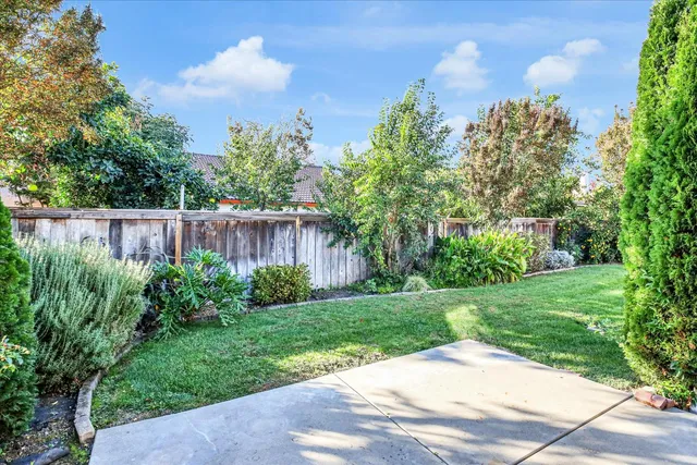 a view of a backyard with large tree and plants