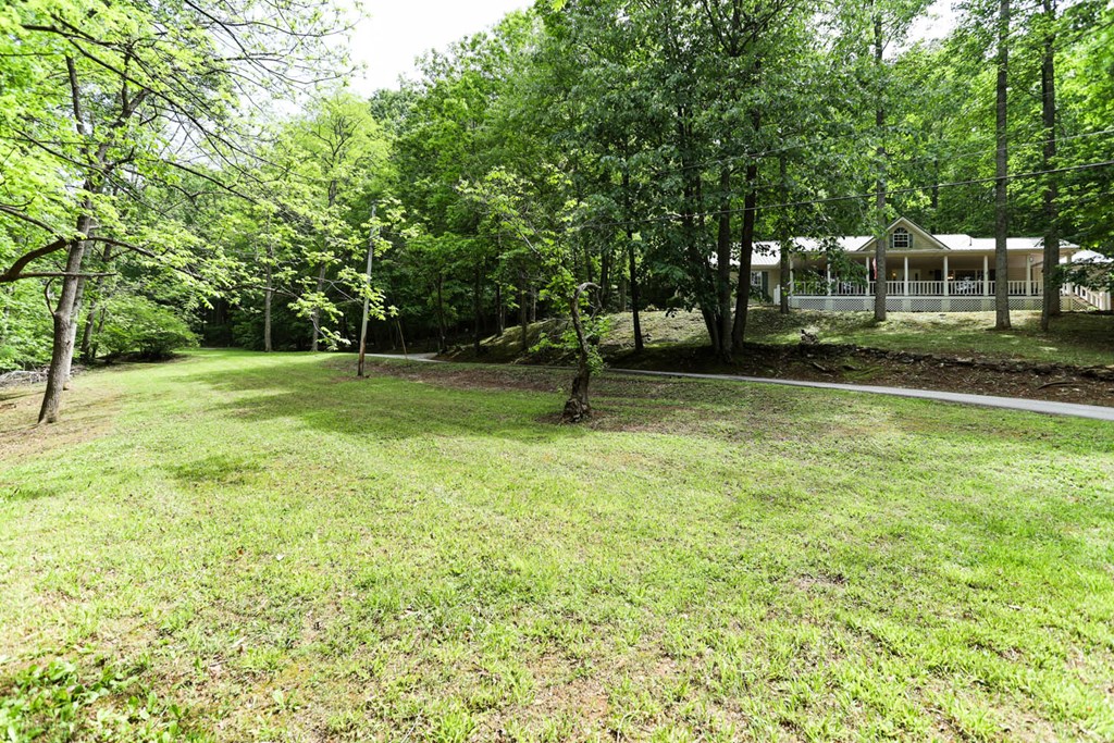 72 Spring Cove Road Blairsville, GA 30512 - Photo 13 of 64 Gallery Image 13