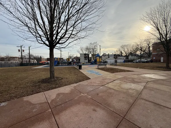 a view of a yard with trees