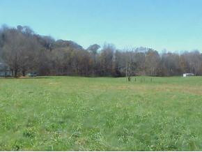 184 Dentons Valley Road Bristol, TN 37620 - Photo 4 of 8 Photo 4