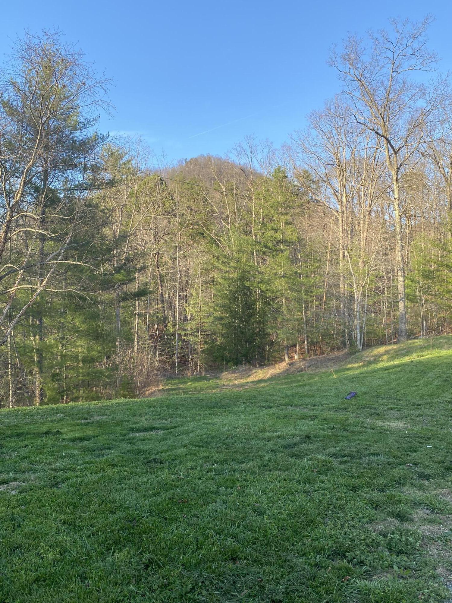 11598 Red Lick Road Irvine, KY 40336 - Photo 17 of 53 IMG_2848