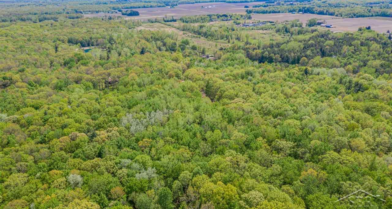 13640 Lakefield Road Hemlock, MI 48626 - Photo 44 of 45