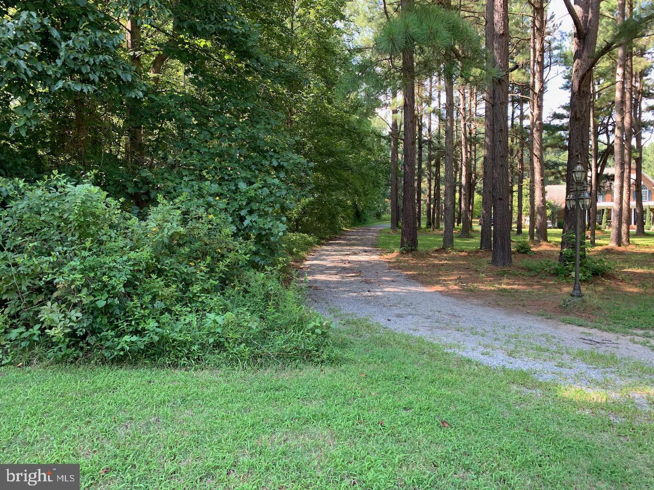 Lot A2 Club Road Louisa, VA 23093 - Photo 18 of 30 Easement Entrance