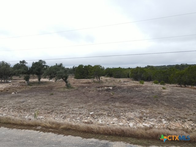 160 Restless Wind Spring Branch, TX 78070 - Photo 14 of 17