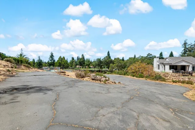 a view of a dry yard with trees