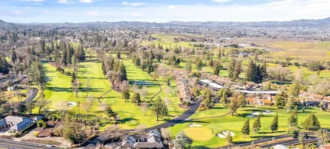 a view of a yard with plants and large trees